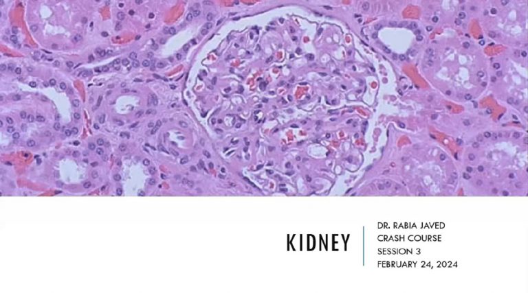 Renal Pathology – Crash Course for FRCPath-II